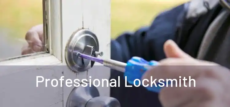  Professional Locksmith 